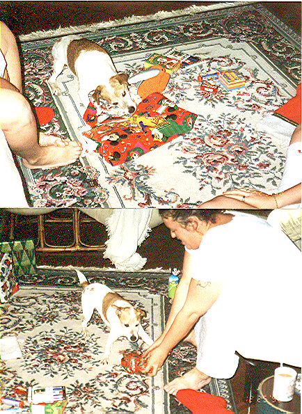 Parker opening present