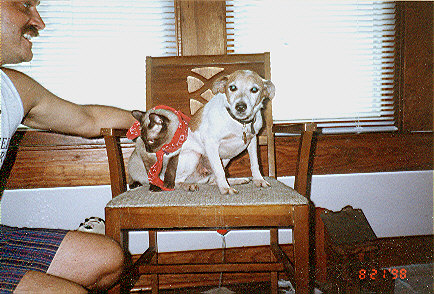 Parker & Sox